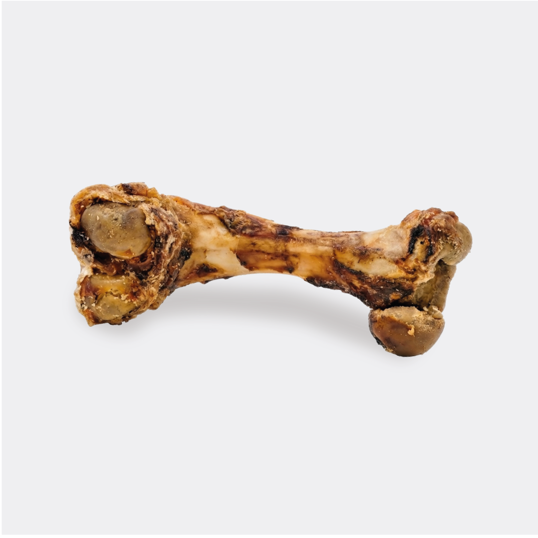 Características del Fémur de Cerdo