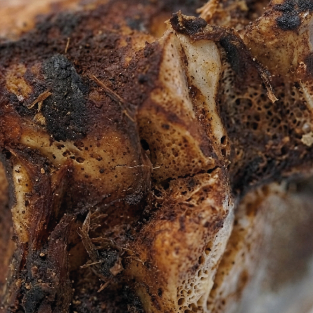 Beneficios de Canilla de Res
