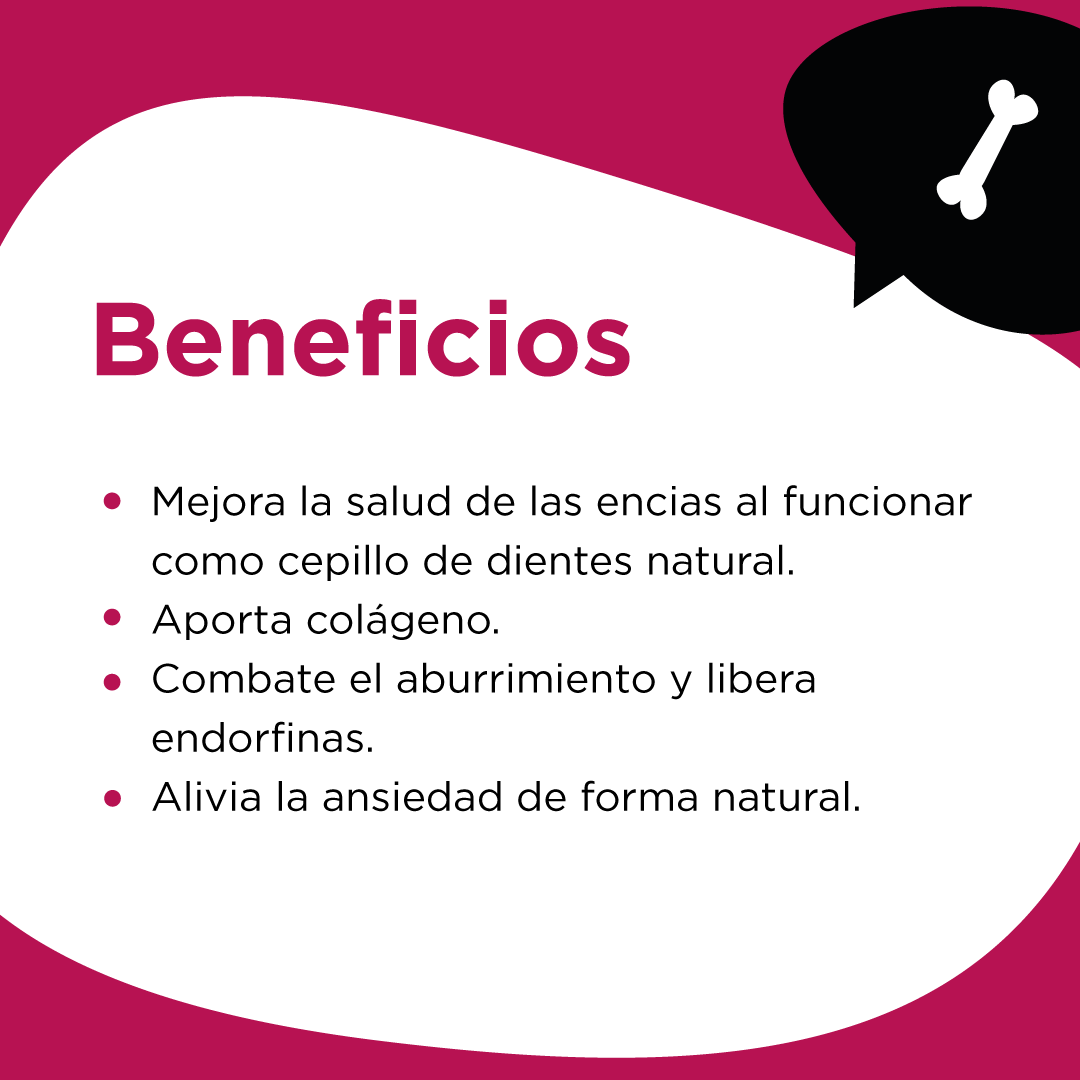 Detalle del Fémur de Cerdo