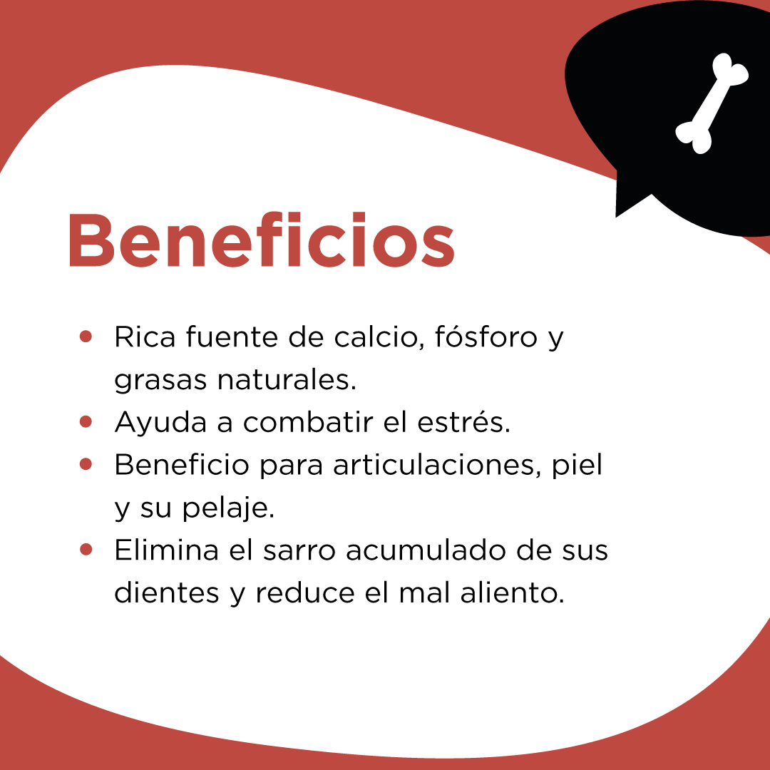 Detalle de la Rótula de Res